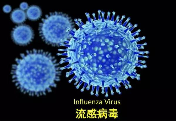 H5是什么意思，空调制热h5是什么意思（H1N1、H5N1、H7N9）