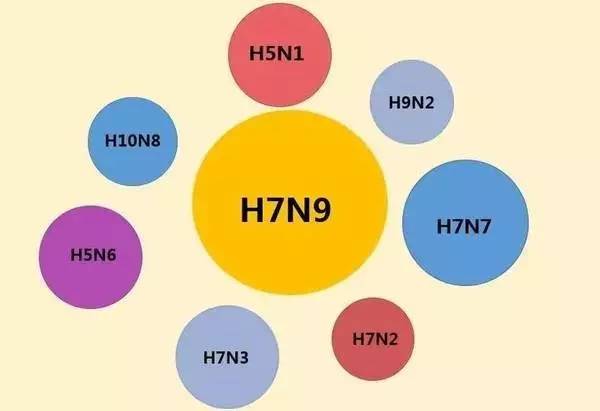 H5是什么意思，空调制热h5是什么意思（H1N1、H5N1、H7N9）