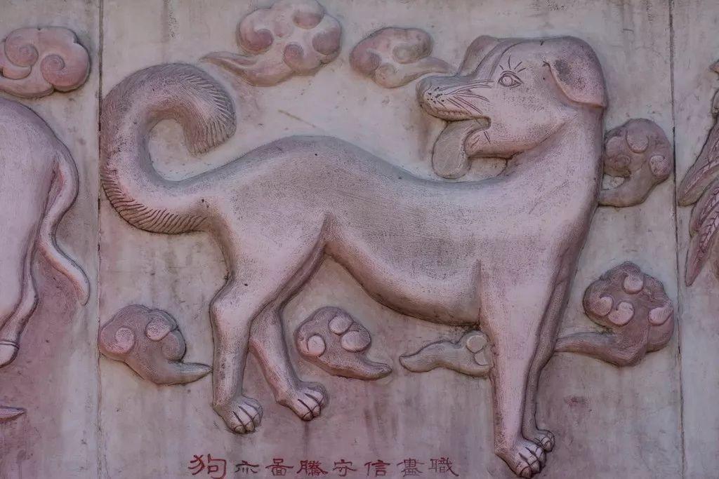 鼠后面是什么生肖，鼠年后面是什么属相（十二生肖的顺序是怎么确定的）