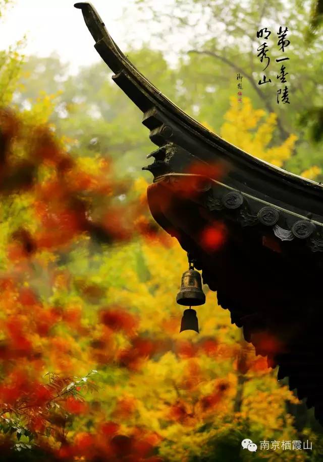 风铃的含义，风铃的含义是什么意思（寺院风铃的含义）