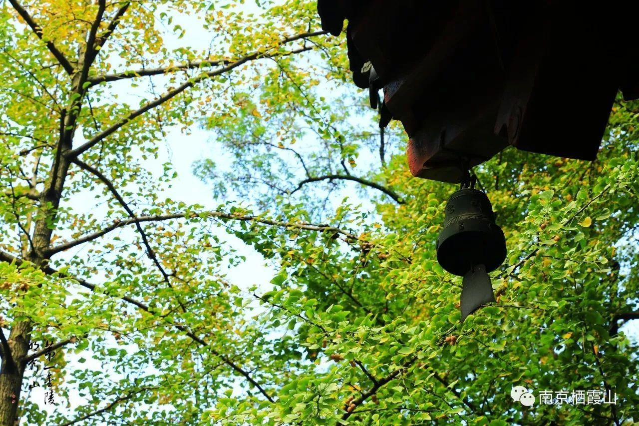 风铃的含义，风铃的含义是什么意思（寺院风铃的含义）