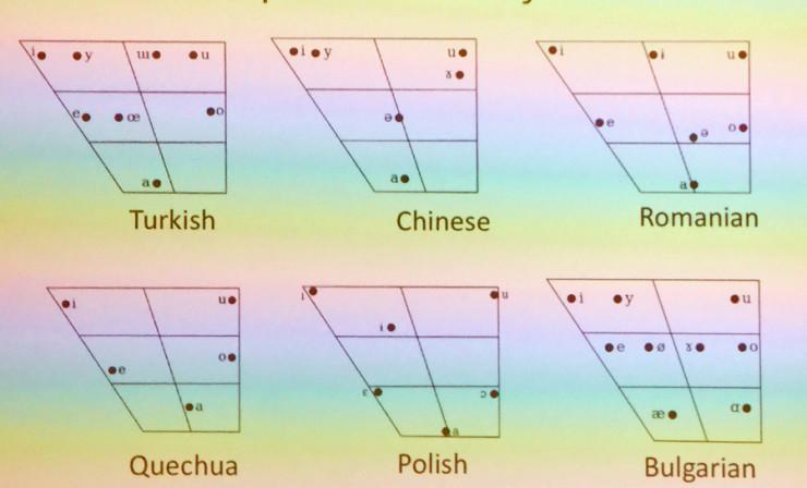 mpp管是什么管材，mpp管是什么管材热熔温度（带你创造一门优雅的新语言）