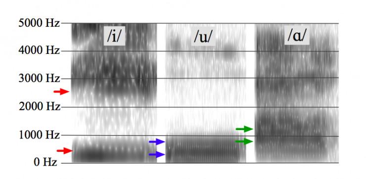 mpp管是什么管材，mpp管是什么管材热熔温度（带你创造一门优雅的新语言）