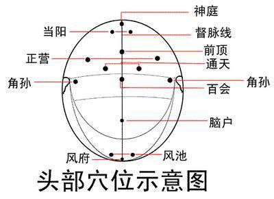 头部经络的位置和功效,头部穴位(教你找准头部保健穴位)