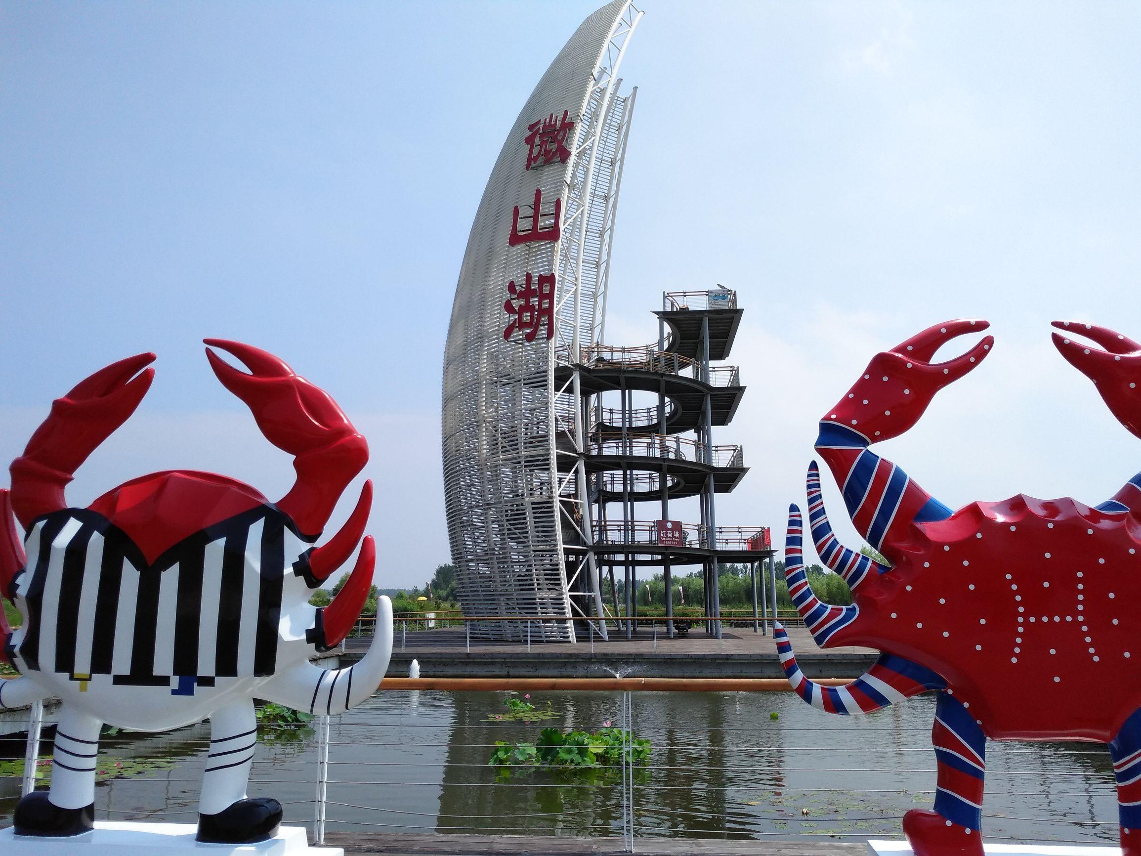 微山湖旅游攻略，微山湖旅游攻略自驾游（红荷湿地游玩攻略）