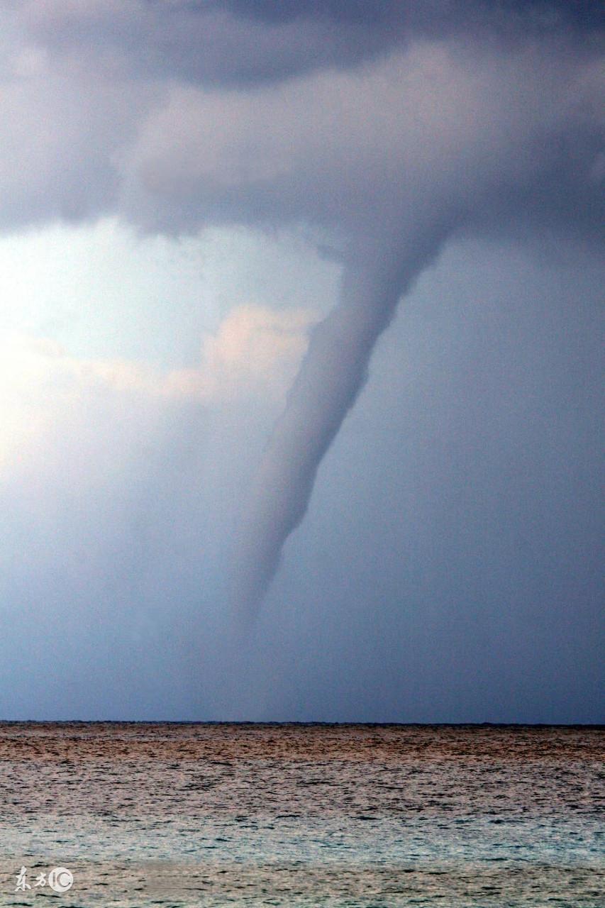 已婚女人梦见吃葡萄是什么意思，女人梦见吃葡萄是什么预兆（周公解梦，解开你的梦！）