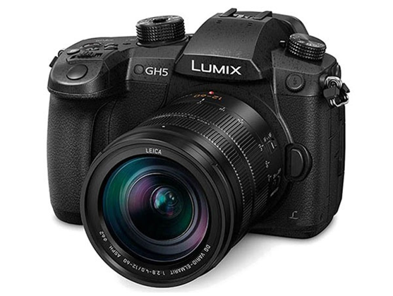 推荐几部高干np宠文，文笔好的高质量高干np宠文（这几款数码单反值得买）