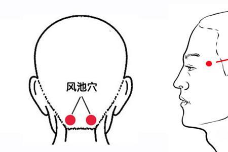 頭部經絡的位置和功效,頭部穴位(教你找準頭部保健穴位)