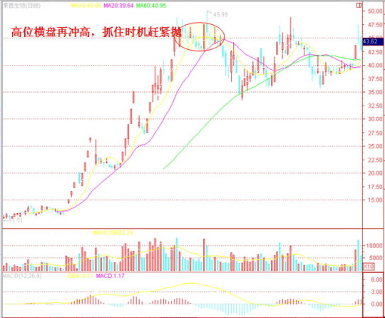 新手炒股5大绝招（新手炒股有什么技巧）