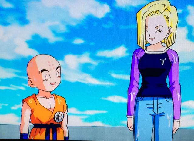 我们可以从最有力的论据来推断:最早人造人邂逅小林的时候,18号就莫名