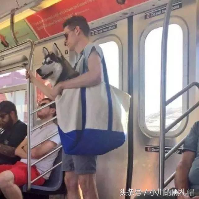 吸引人的包包店名，吸引人的包包店名字大全290个（大牌包包凹不出的情绪它可以）