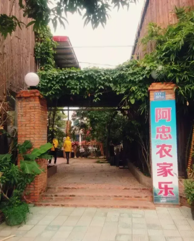 阿忠农家乐，阿忠农家乐到山姆（2017厦门环岛路户外烧烤好去处——阿忠农家乐）