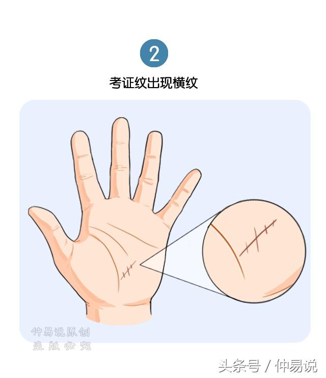 如何看手纹识手相，怎看手相指纹（手纹暴露你的健康状况）