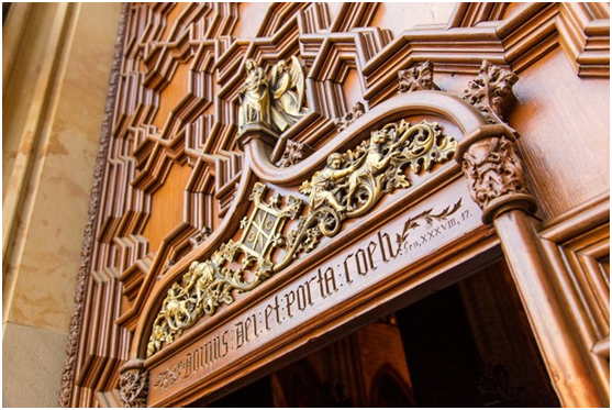 推荐几部高干np宠文，文笔好的高质量高干np宠文（这几款数码单反值得买）