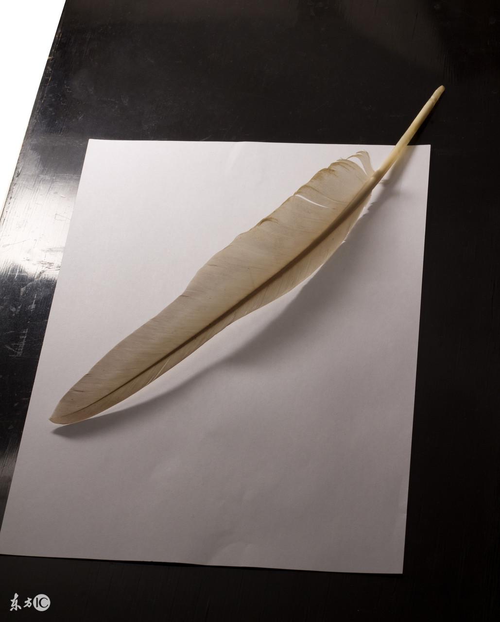 梦见梅花鹿是什么预兆，周公解梦，化开所有忧愁