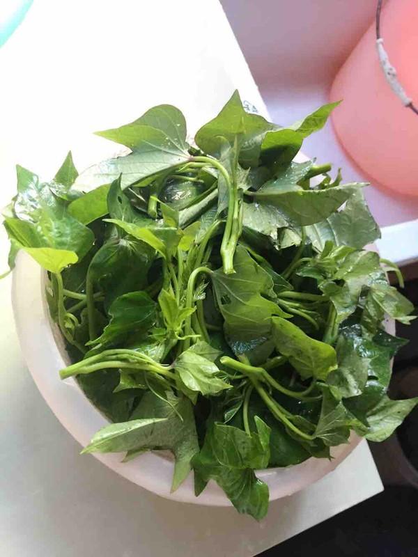  红苕尖的川味做法简单好吃，蒜蓉红苕尖怎么做好吃