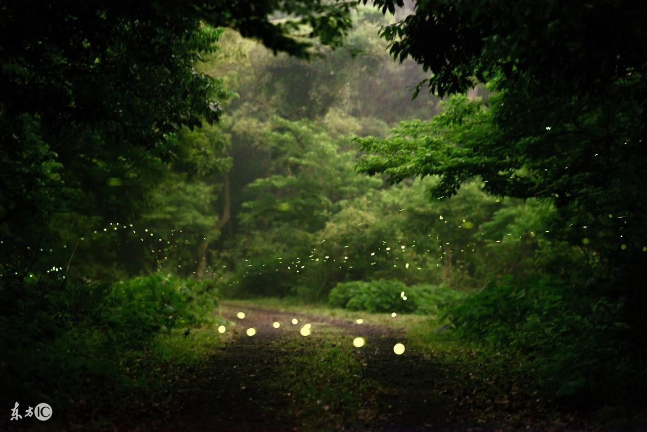 一闪一闪亮晶晶歌词，一闪一闪亮晶晶歌词孙燕姿（英语版儿歌《一闪一闪亮晶晶》童年的记忆）