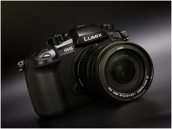 推荐几部高干np宠文，文笔好的高质量高干np宠文（这几款数码单反值得买）