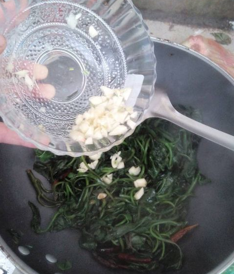  红苕尖的川味做法简单好吃，蒜蓉红苕尖怎么做好吃