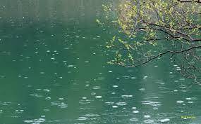 春雨的别称有什么，春雨的别名有叫什么（充满日本情趣的“雨”名）