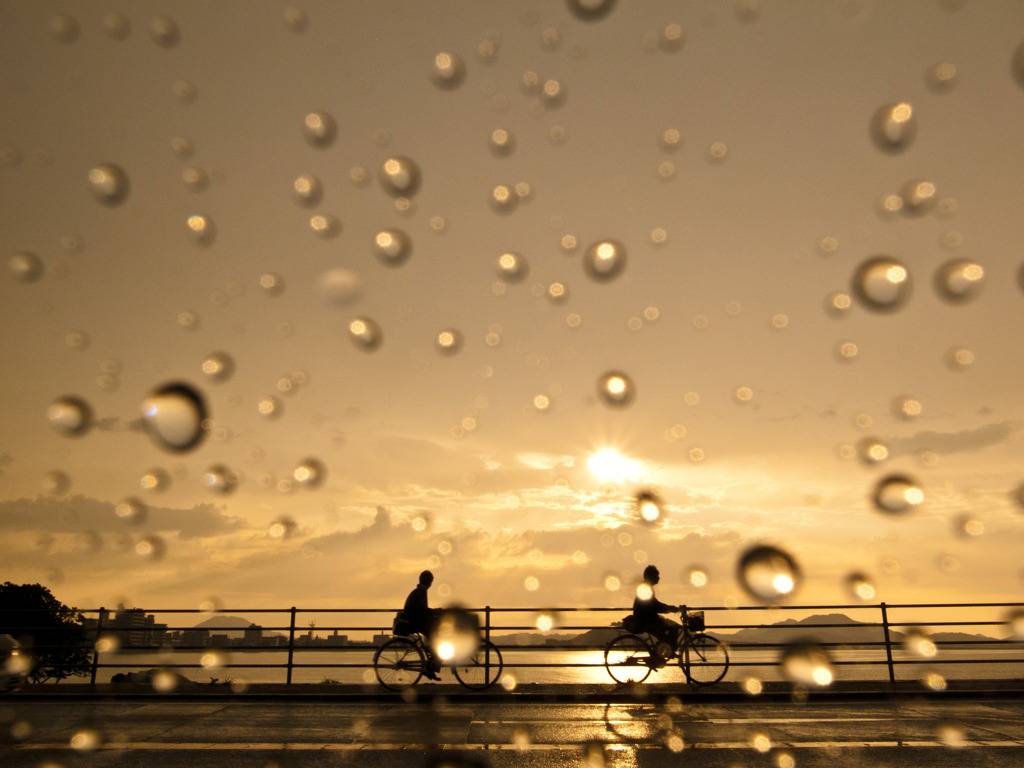 春雨的别称有什么，春雨的别名有叫什么（充满日本情趣的“雨”名）