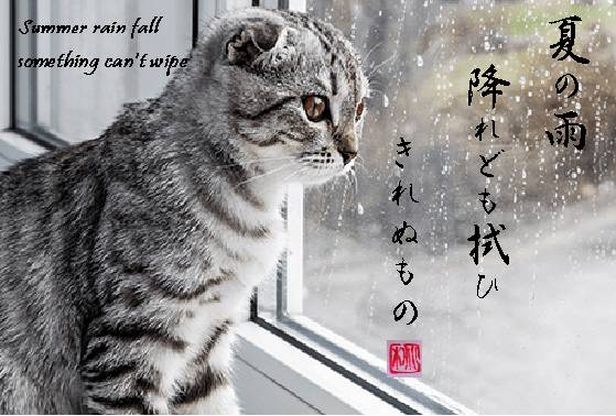 春雨的别称有什么，春雨的别名有叫什么（充满日本情趣的“雨”名）