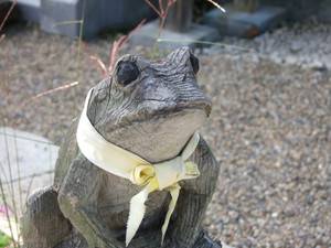 春雨的别称有什么，春雨的别名有叫什么（充满日本情趣的“雨”名）