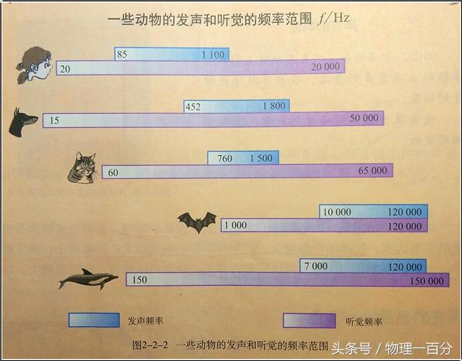 狗的听力范围多少米（如何保护狗狗的听力健康）