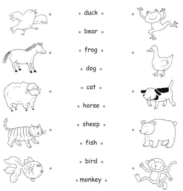 goldfish的复数，goldfish复数形式是什么（《棕熊，棕熊，你在看什么）