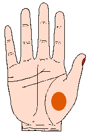 太阳丘在哪里，男人的十种富贵手相（贫道帮你解析手相里面掌丘对我们生活和事业上的重大影响）