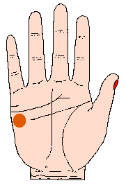 太阳丘在哪里，男人的十种富贵手相（贫道帮你解析手相里面掌丘对我们生活和事业上的重大影响）