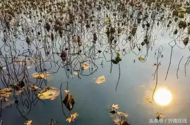 二妮子什么意思，河南说女的二妮子是啥意思（沂南本地口头禅大全）