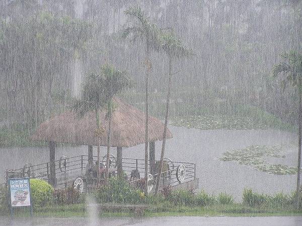 春雨的别称有什么，春雨的别名有叫什么（充满日本情趣的“雨”名）