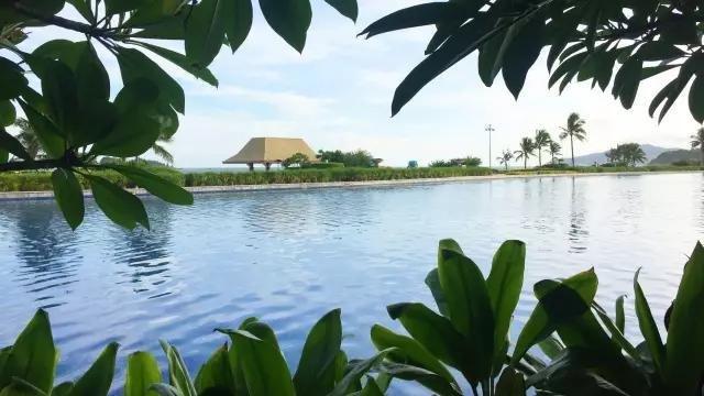 阳江市海陵岛(海陵岛包吃住民宿)