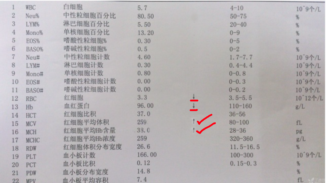 血红蛋白正常值是多少，血红蛋白正常值是多少5岁（如何看血常规报告单第一篇）