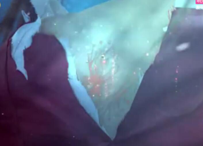 楚乔传小说结局，楚乔传最终结局（《楚乔传》大结局：郁闷）