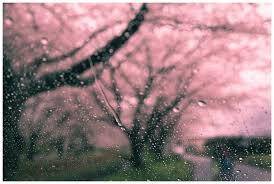 春雨的别称有什么，春雨的别名有叫什么（充满日本情趣的“雨”名）