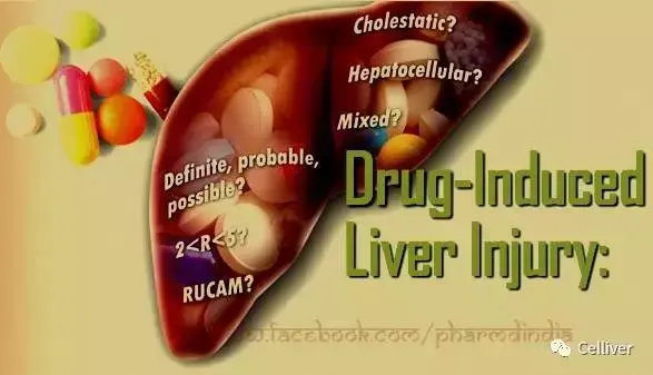 什么是肝微粒体，可以测定药物代谢的什么方面，什么是肝微粒体（原来肝细胞还有这些应用！）