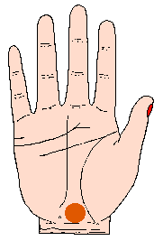 太阳丘在哪里，男人的十种富贵手相（贫道帮你解析手相里面掌丘对我们生活和事业上的重大影响）