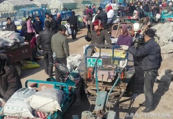 丹参产地，为什么丹参是伤肝中药（丹参多产区出现库存短缺）