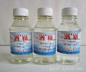 被蜜蜂蛰了怎么处理，被蜜蜂蛰了怎么处理消肿最快土方法（被蜜蜂蛰了之后应该怎么处理呢）