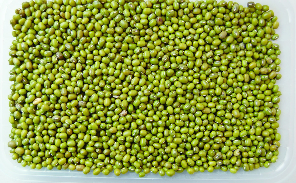 五谷杂粮有哪些，五谷杂粮有哪些好处（24种豆类杂粮大全）