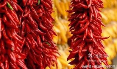 被蜜蜂蛰了怎么处理，被蜜蜂蛰了怎么处理消肿最快土方法（被蜜蜂蛰了之后应该怎么处理呢）
