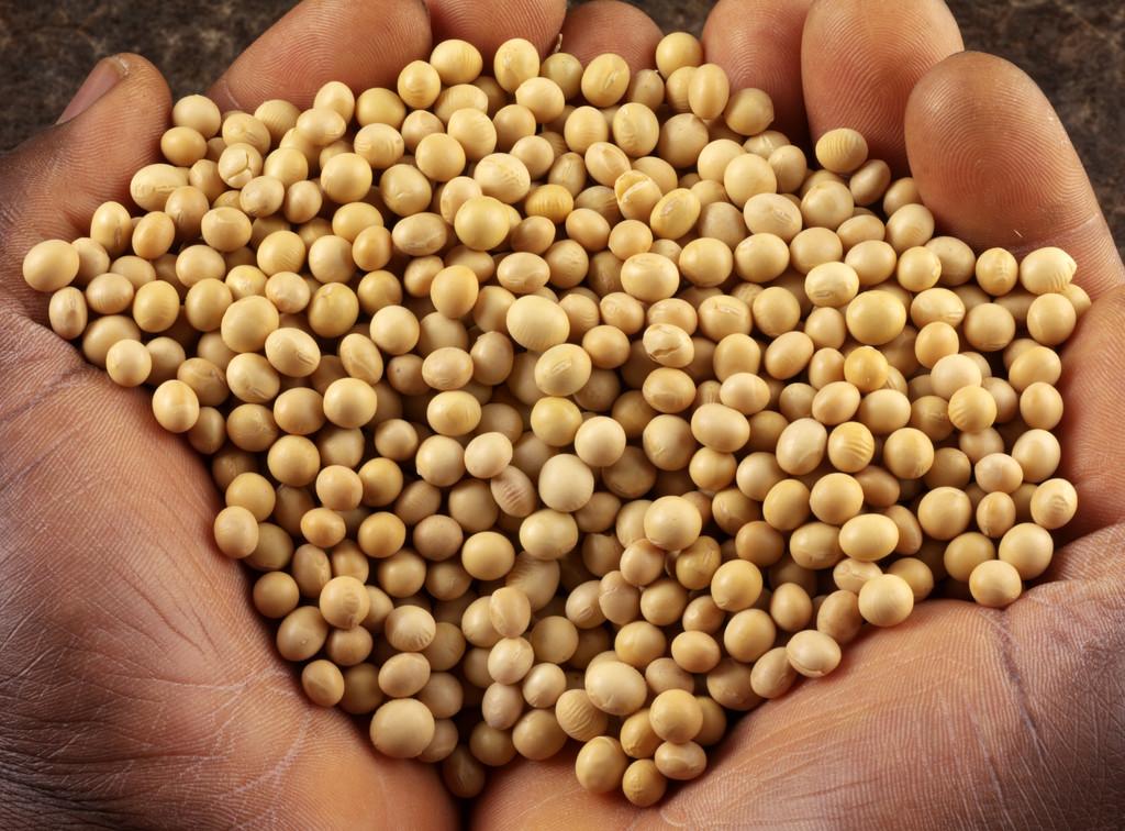 五谷杂粮有哪些，五谷杂粮有哪些好处（24种豆类杂粮大全）