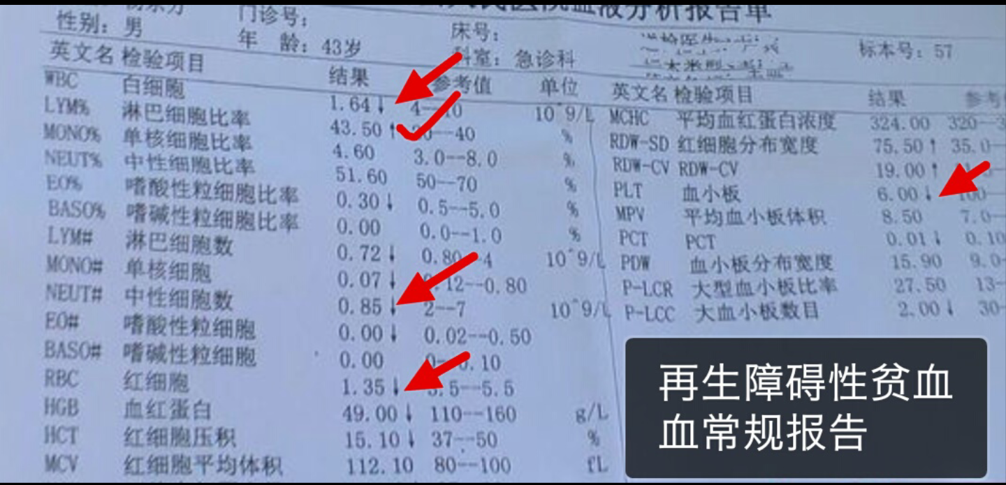 血红蛋白正常值是多少，血红蛋白正常值是多少5岁（如何看血常规报告单第一篇）