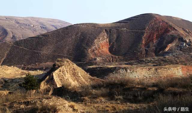 海原大地震每一百年一次吗，人和人在苦难中最亲近