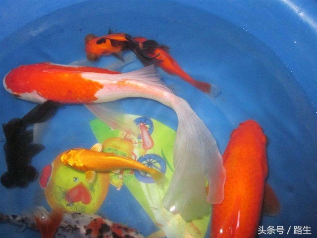 海原大地震每一百年一次吗，人和人在苦难中最亲近