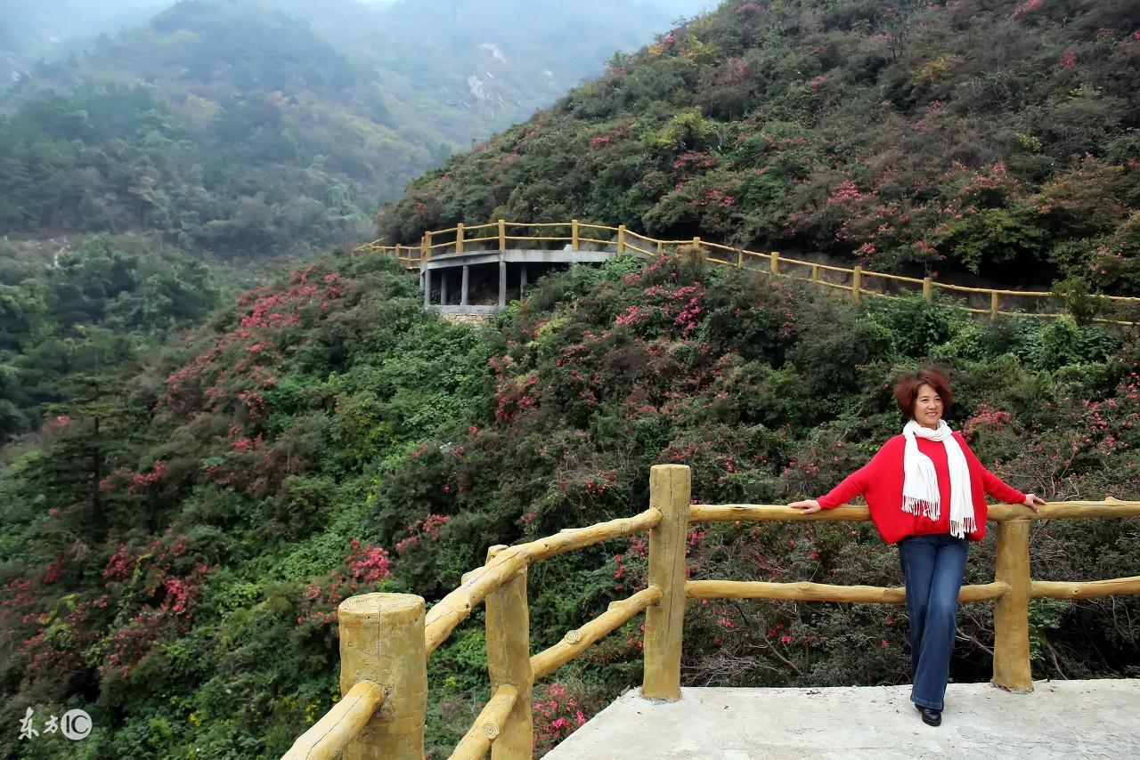 映山红歌词完整版，歌曲映山红歌词完整版（歌词：映山红）