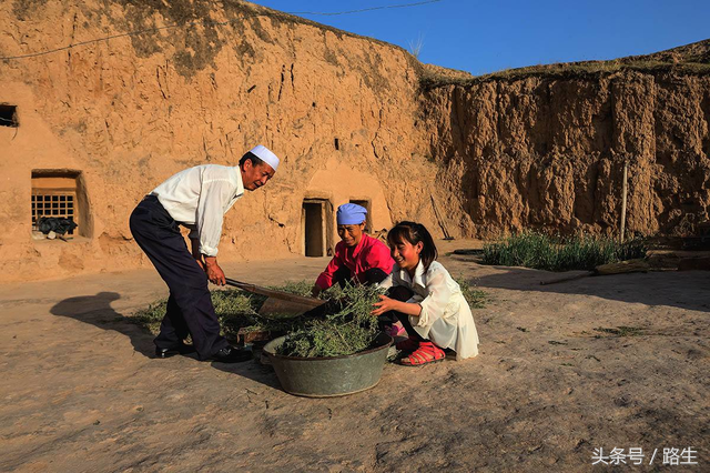 海原大地震每一百年一次吗，人和人在苦难中最亲近