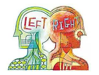 左利手更聪明吗，左利手是右脑发达吗（人类为什么习惯用右手）